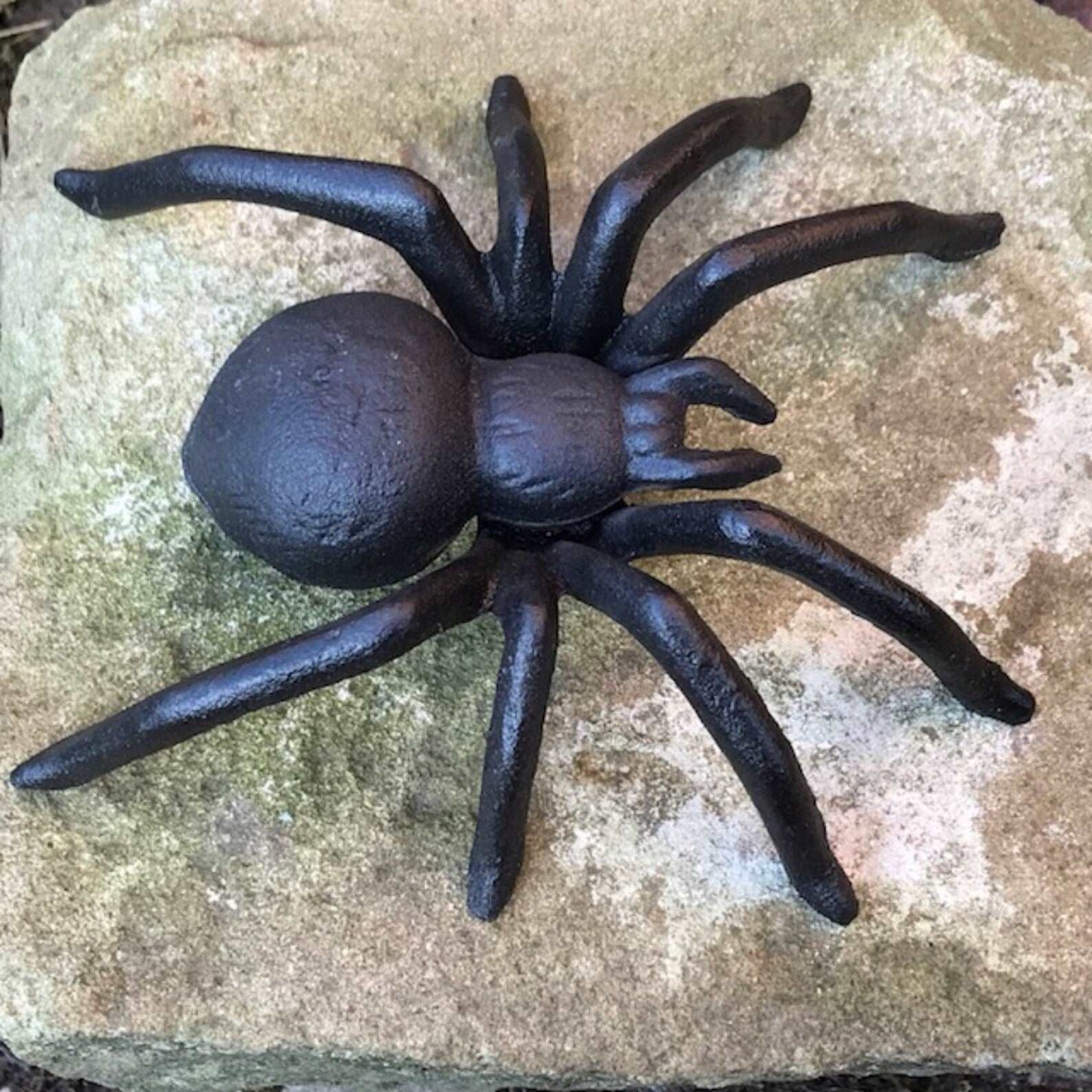 Cast iron spider statue - huntsman giant spider