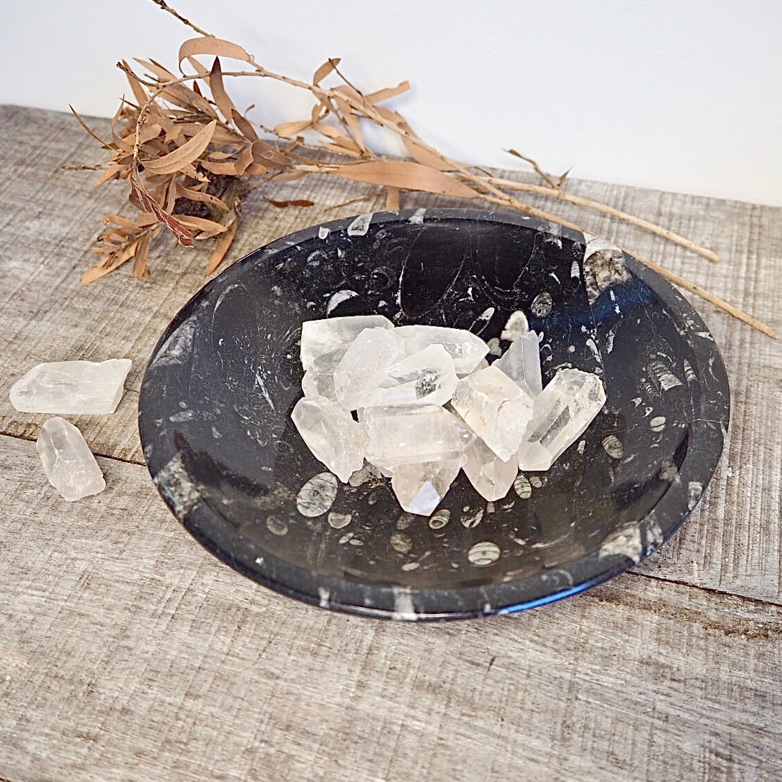 Fossil bowl / crystal carved dish