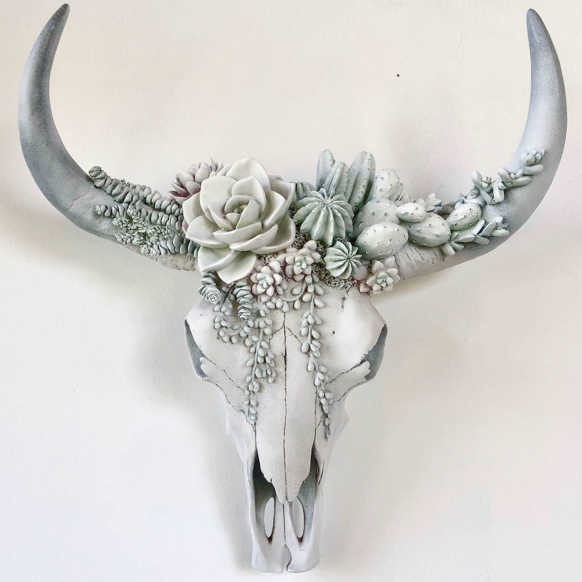 Bohemian succulent crown cow / bull skull wall hanging