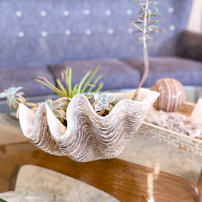 Coastal decor clam shell bowl planter - XL