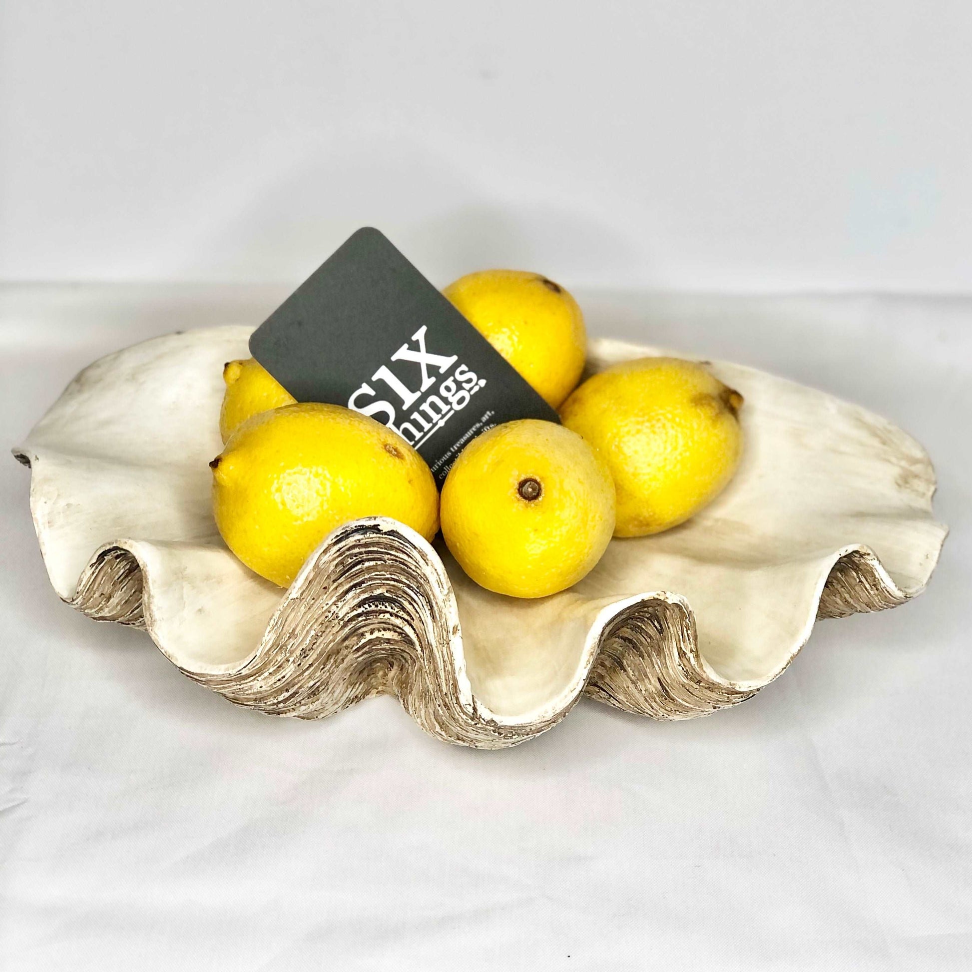 Coastal decor clam shell bowl / tray