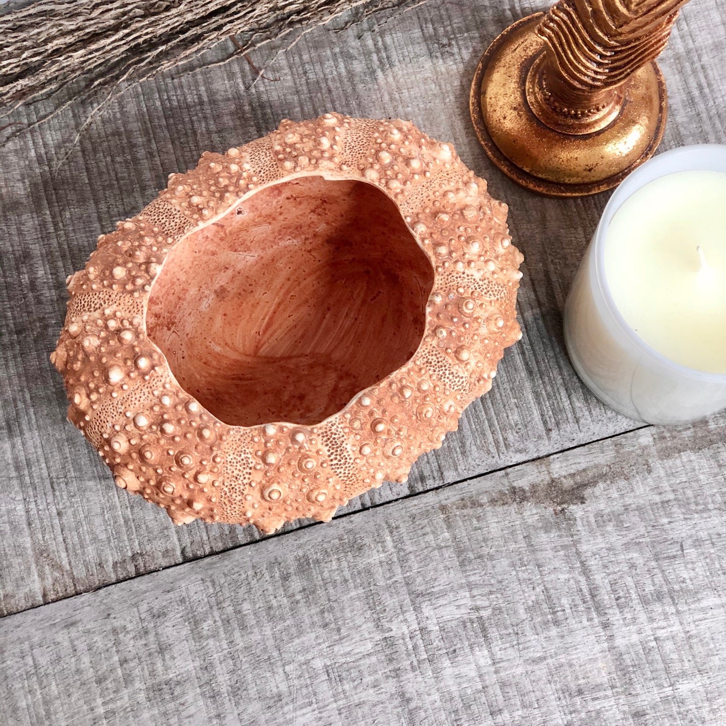 Coastal vibes sea urchin vase