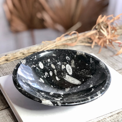 Fossil bowl / crystal carved dish
