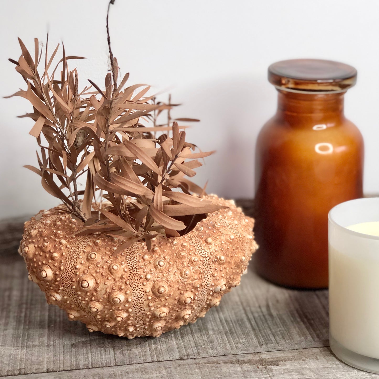 Coastal vibes sea urchin vase