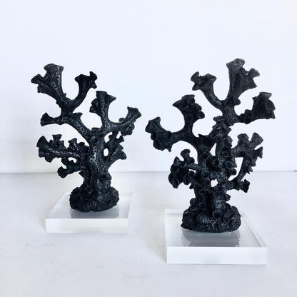 Black Coral statue