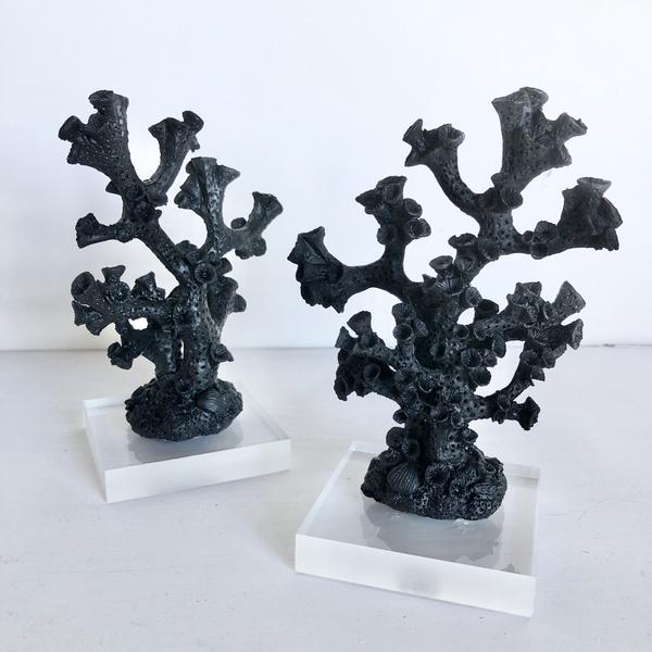 Black Coral statue