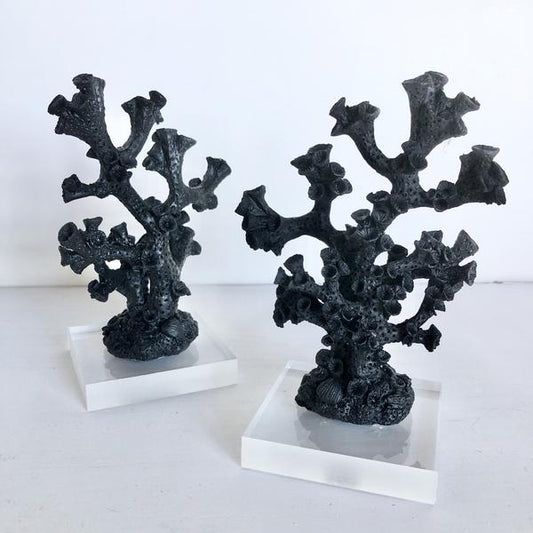 Black Coral statue