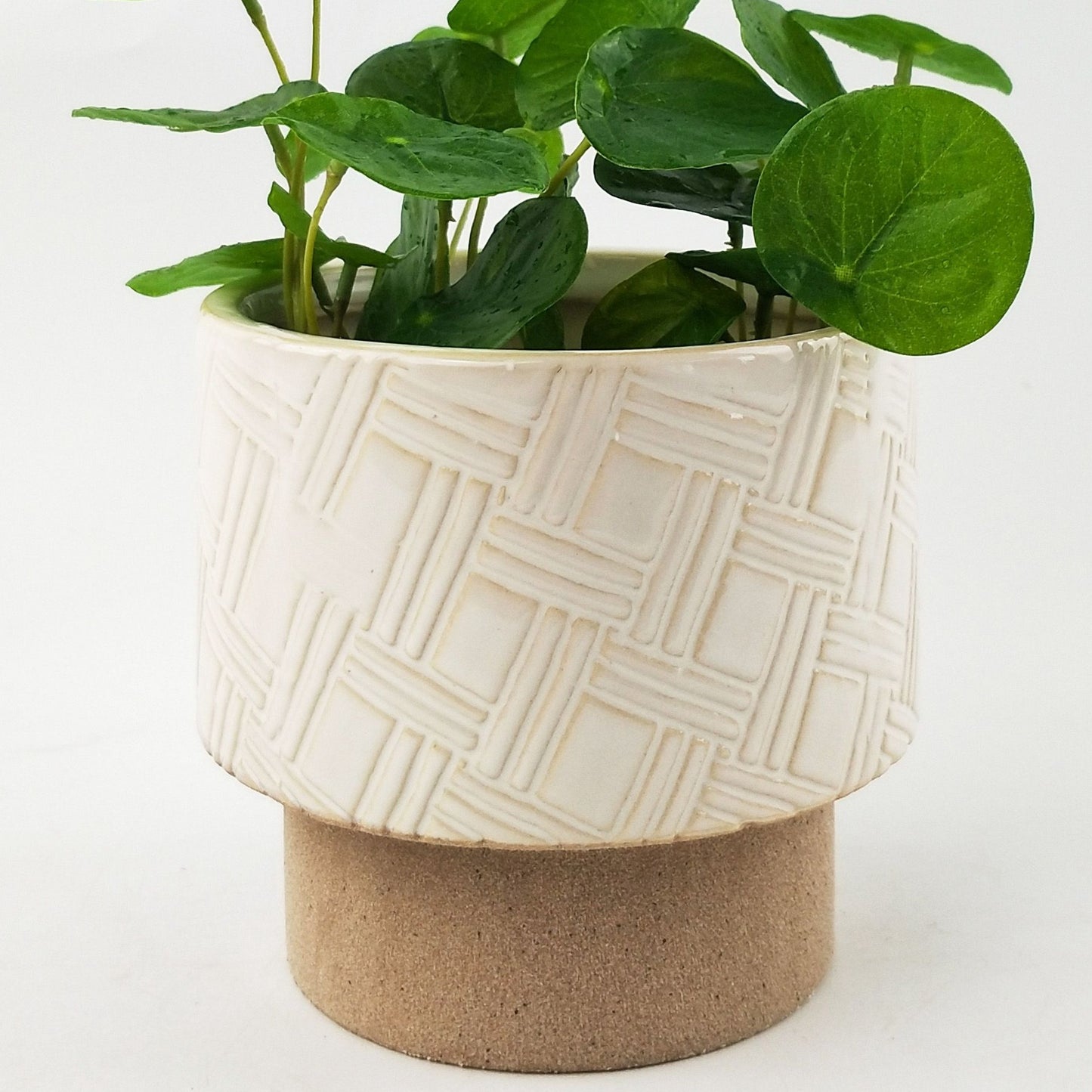 Cream checkered ceramic planter pot