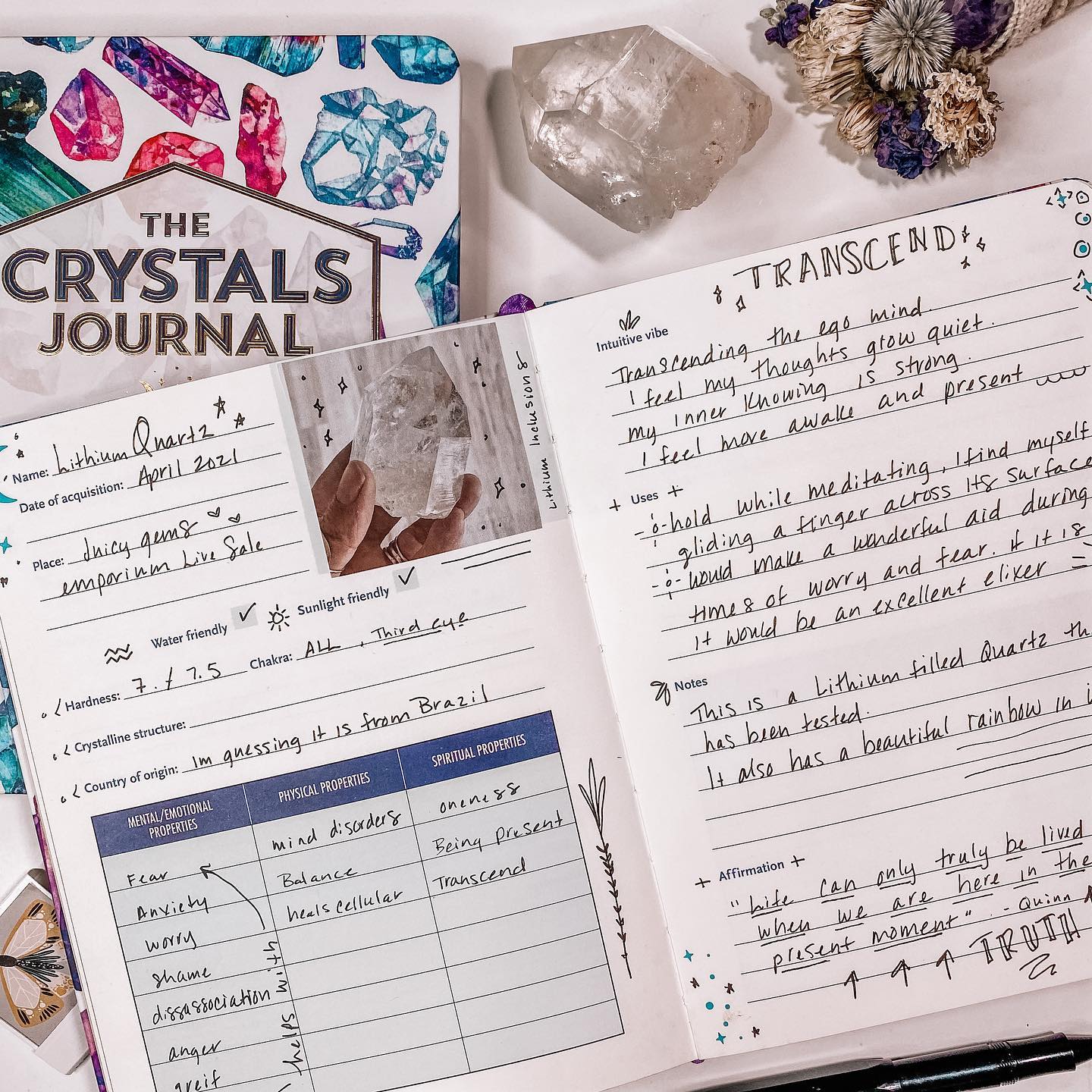 Crystals journal / crystal gold lined notebook