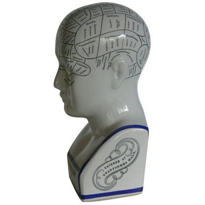 Phrenology head vintage style ceramic curious bust statue - Six Things - 3
