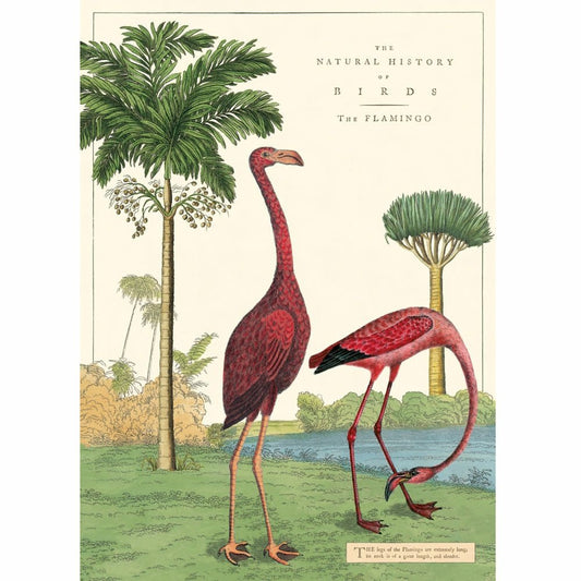 Flamingo vintage chart poster print
