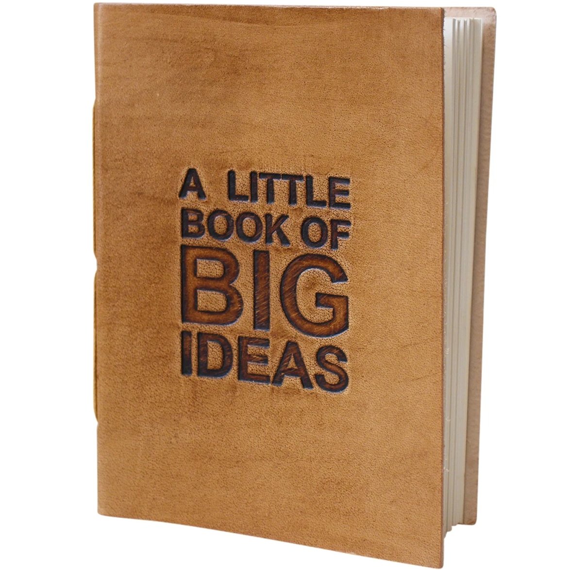 Little book big ideas leather journal / notebook