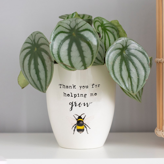 Mum / Teacher / bumble bee helping me grow planter pot