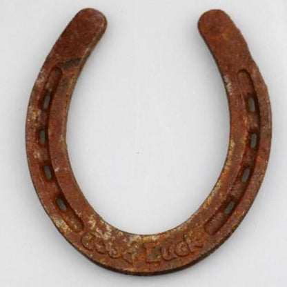 Horseshoe good luck vintage cast iron statue wall hanging