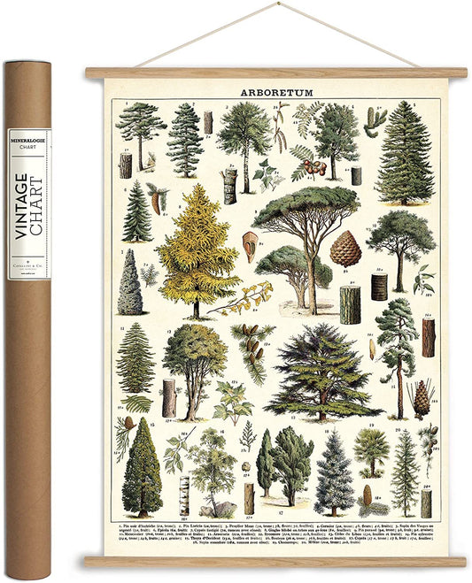 Trees vintage chart poster print