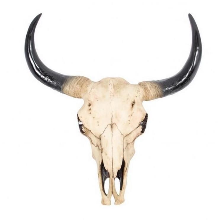Buffalo / bull / natural cow skull wall hanging