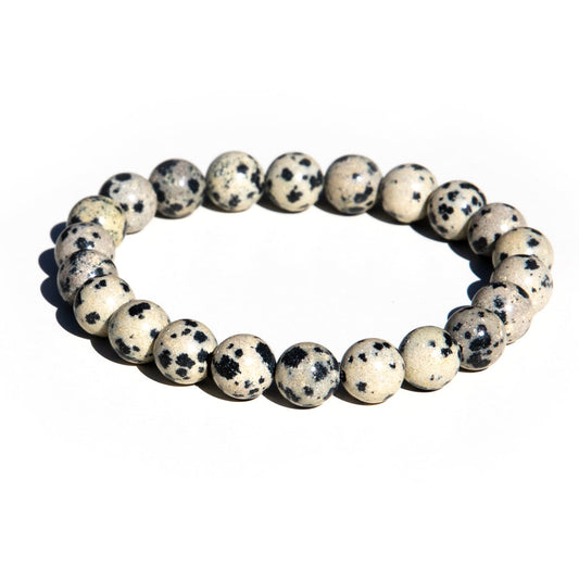 Unisex dalmation jasper crystal bead / crystal bracelet