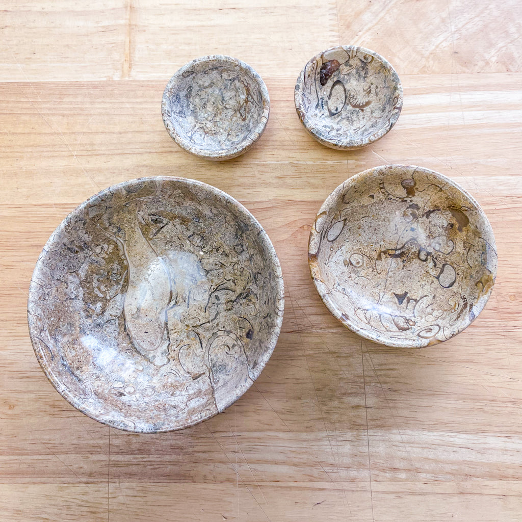 Fossil coral bowl / crystal carved trinket dish