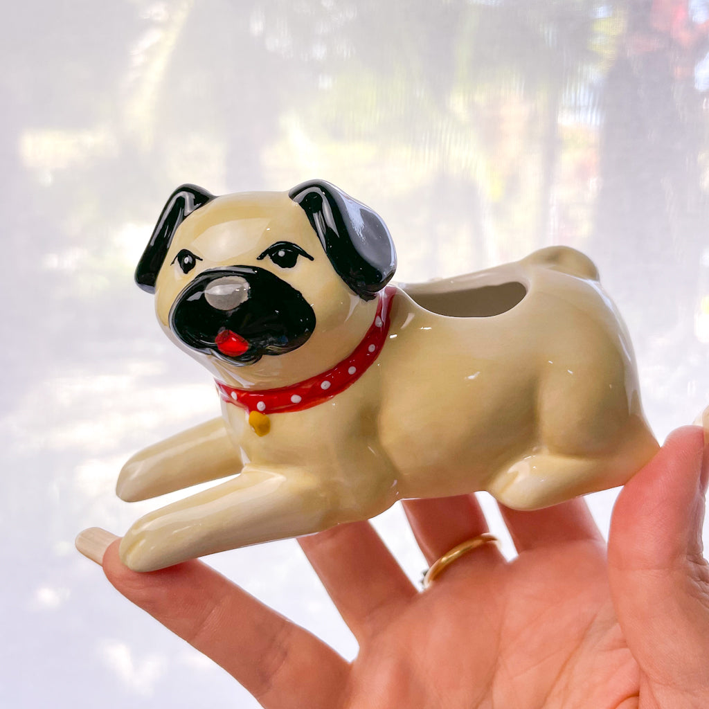 Pug Pot Puppy pug dog plant pot – Six Things Shop Australia
