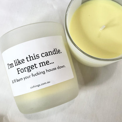 Don’t forget me / burn house down soy candle