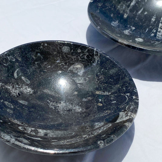Fossil bowl / crystal carved trinket dish