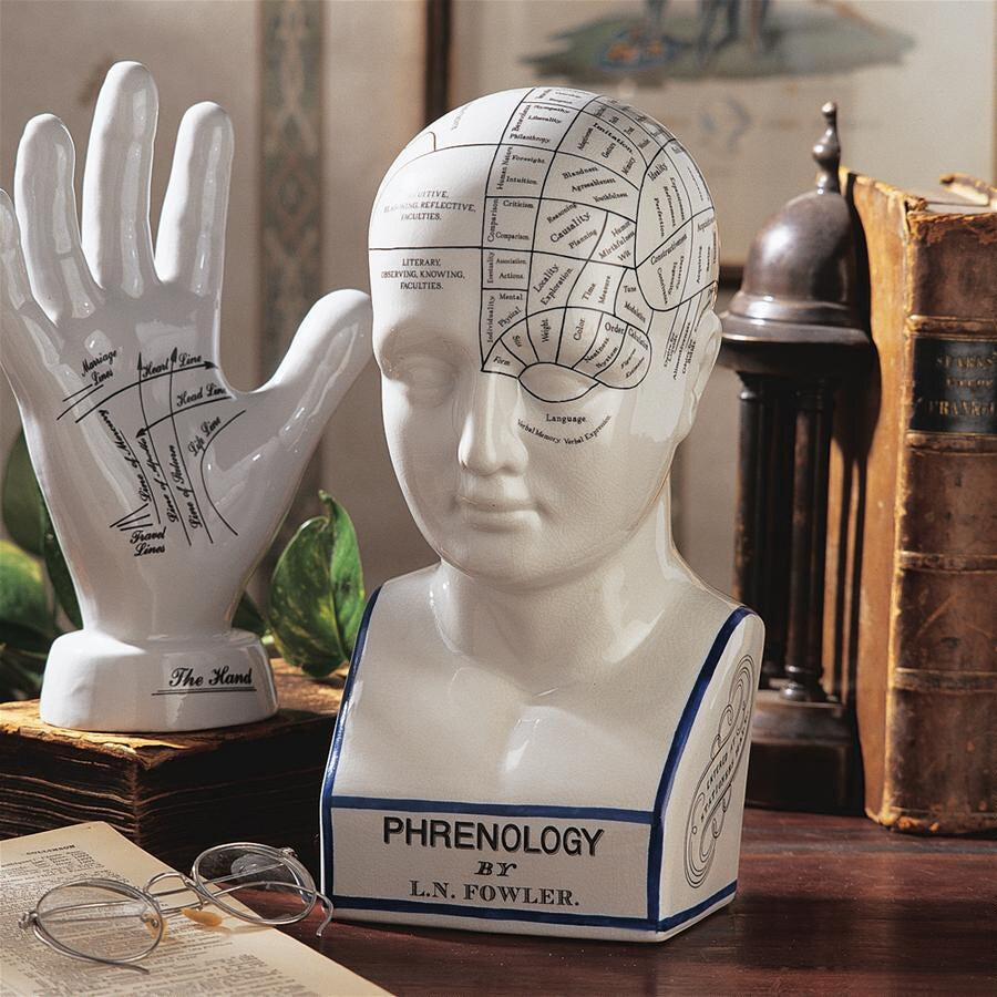 Phrenology head vintage style ceramic curious bust statue