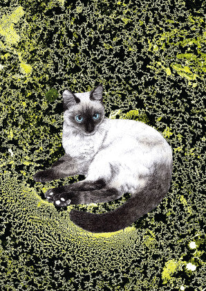 Ol blue eyes cat poster - Six Things - 2