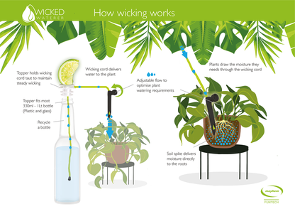 DIY plant watering system / serial plant killer gift