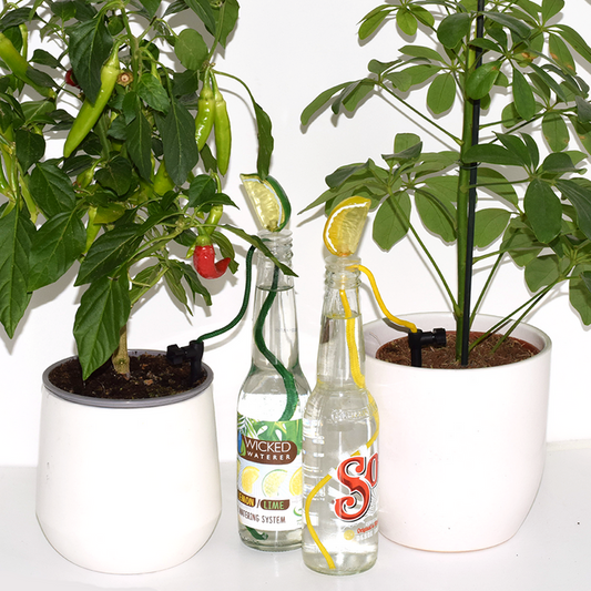 DIY plant watering system / serial plant killer gift