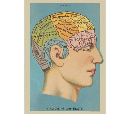 Phrenology head vintage poster chart