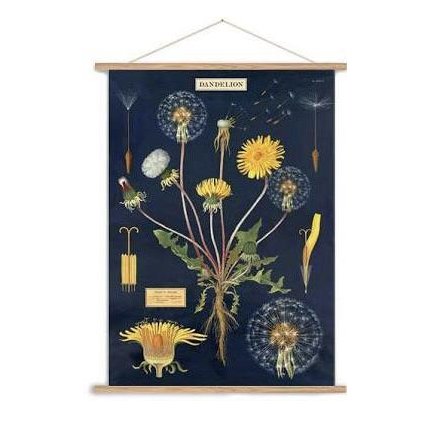 Boho dandelion vintage chart poster print