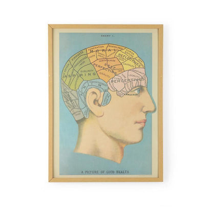 Phrenology head vintage poster chart
