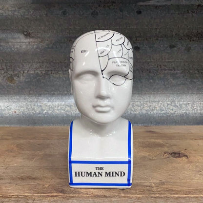 Phrenology head modern style ceramic curious bust statue