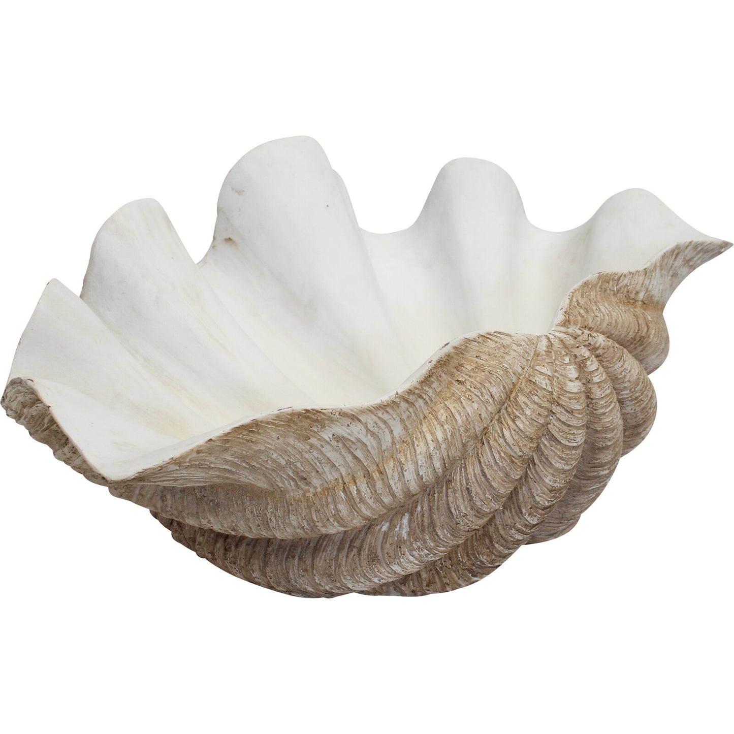 Coastal decor clam shell bowl / tray giant XL