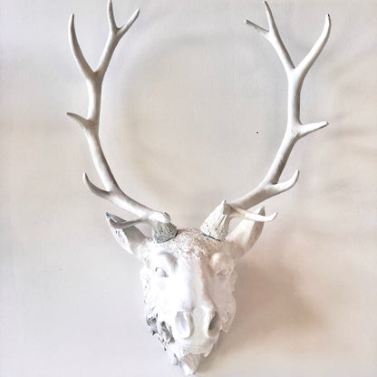 Stag / moose / deer head antler mounted wall hanging