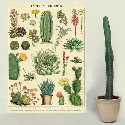 Tropical cactus / succulent vintage chart poster print