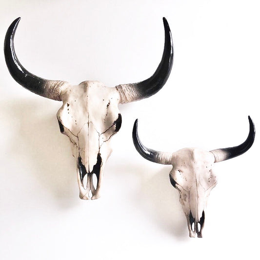Buffalo / bull / natural cow skull wall hanging