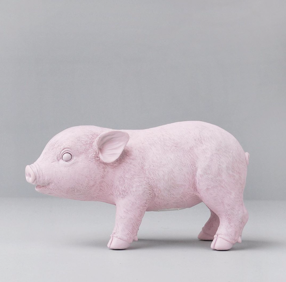 Piglet money bank / piggy money box statue