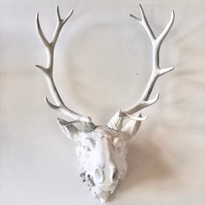 Stag / moose / deer head antler mounted wall hanging