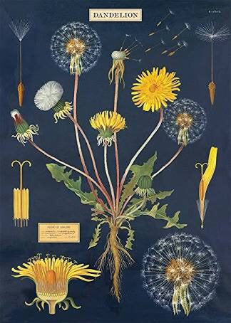 Boho dandelion vintage chart poster print