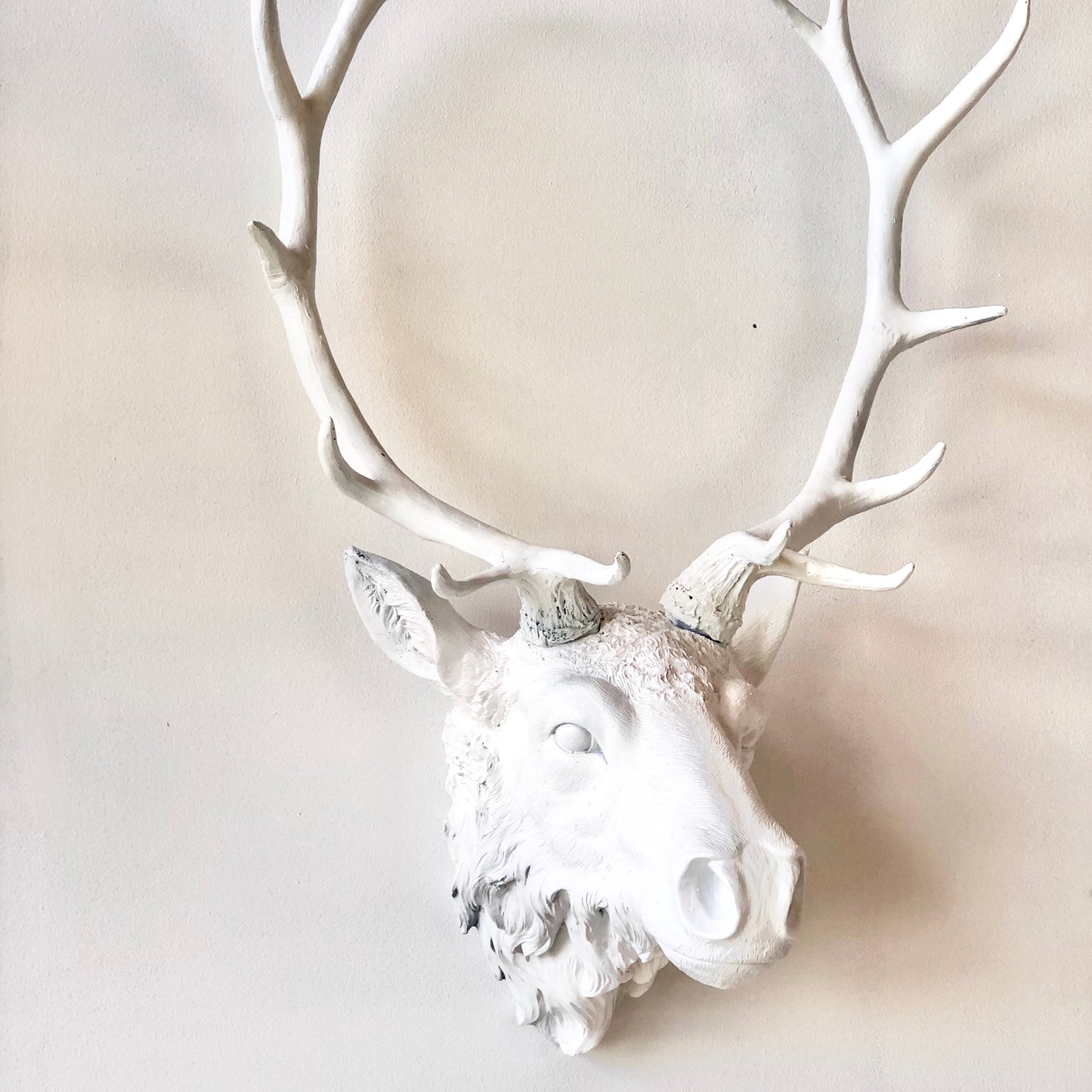 Stag / moose / deer head antler mounted wall hanging