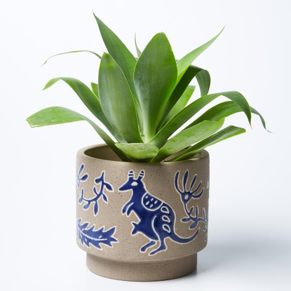 Australian native flora & animal hand made glazed clay plant pot