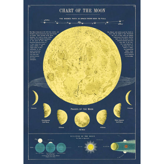 Moon phases / cosmic vintage chart poster print