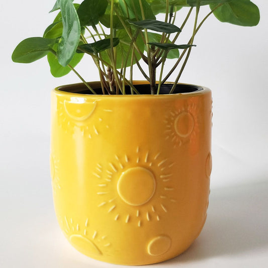 Sunshine planter pot